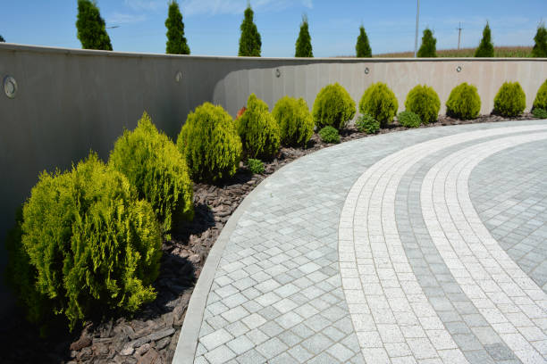 Professional Driveway Pavers in Rangely, CO